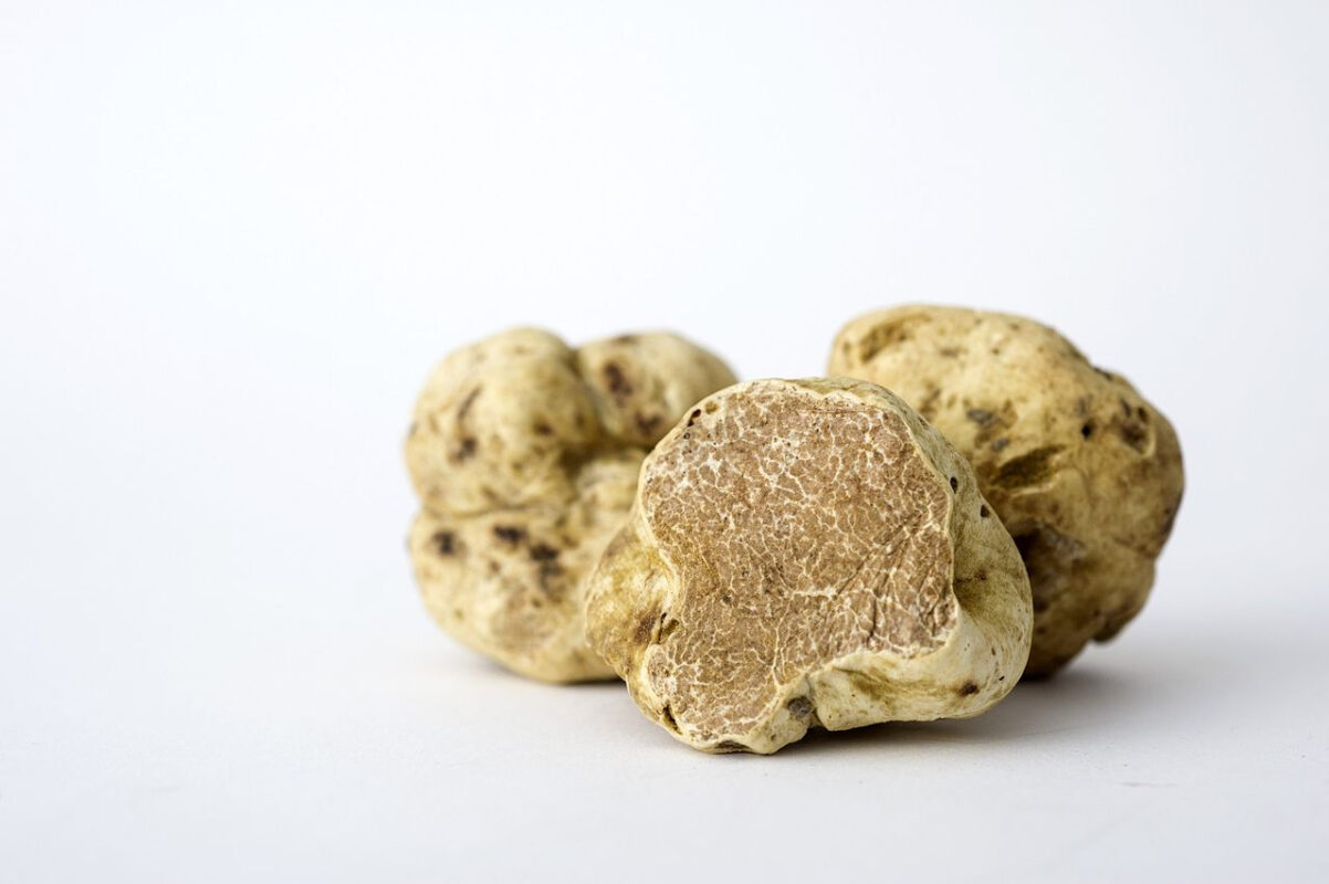 White Magic Truffles or sale online​, magic truffles online usa​, magic truffles sale​, magic truffles united states​, Mushroom, Order Magic Truffles Near Me