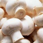 Buy Mushrooms Near Me Online... Pilze kaufen, Buying Mushrooms Online Where to Buy Mushrooms Near Me Psilocybin-Pilze